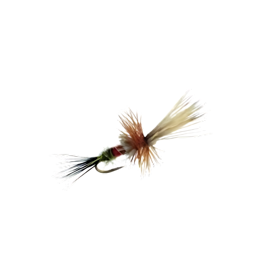 CDC Mayfly Emerger Fly – #14 sizes, ideal for trout fishing.