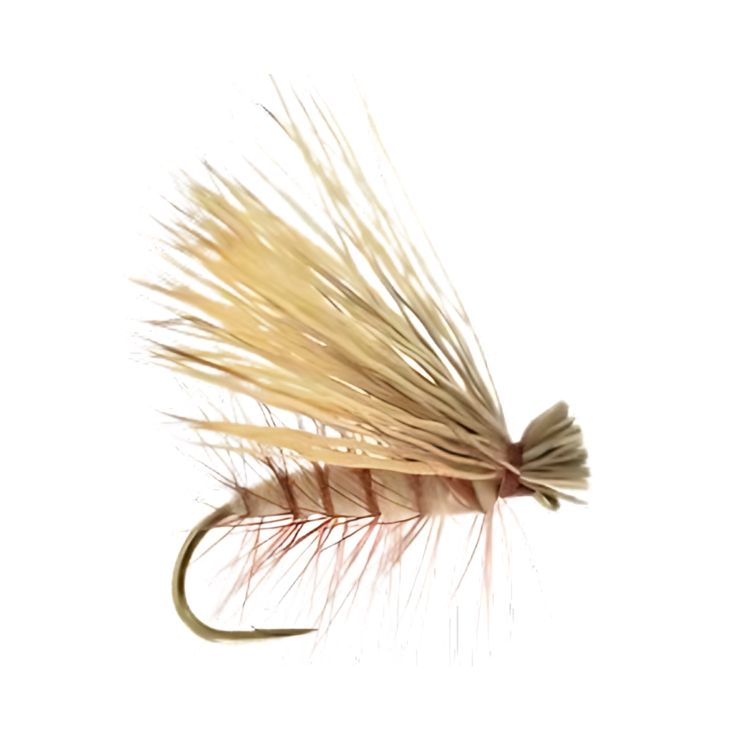 Willow Grub Fly for Trout Fishing in New Zealand, Australia, the United States, and the United Kingdom - Ideal for Freshwater Angling.