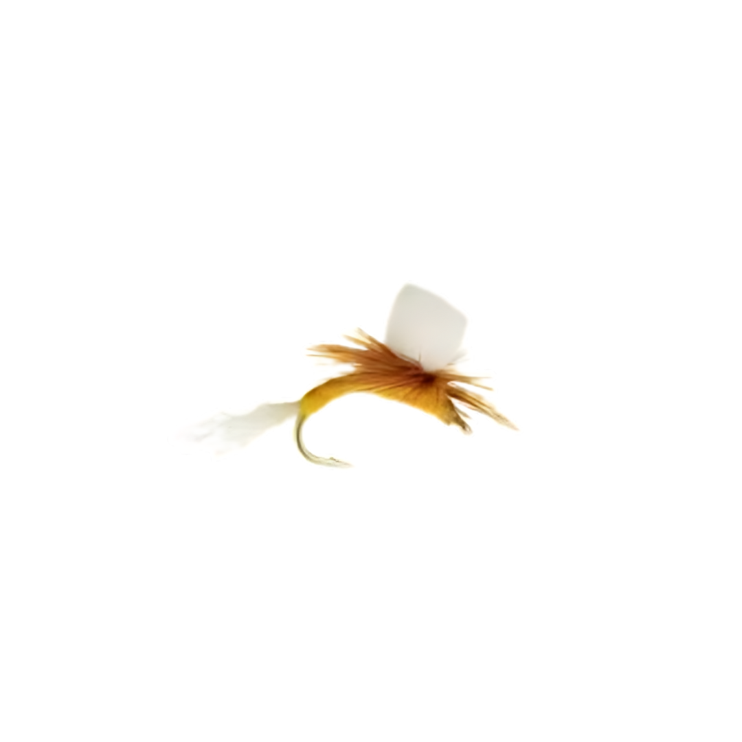 FOAM EMERGER SULPHUR