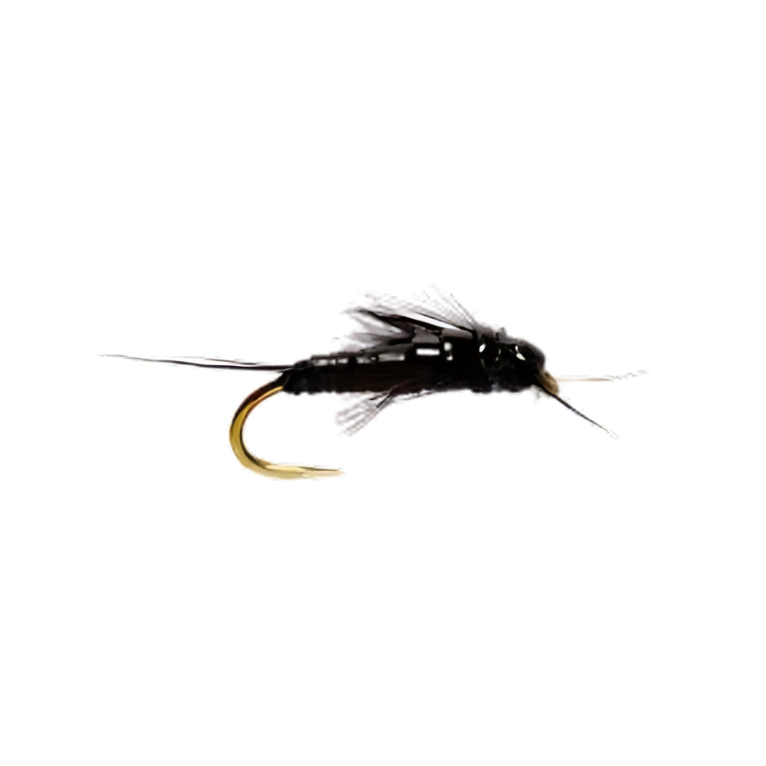 an image of CHUBBY CHERNOBYL ANT TAN by Aquinaflies.com