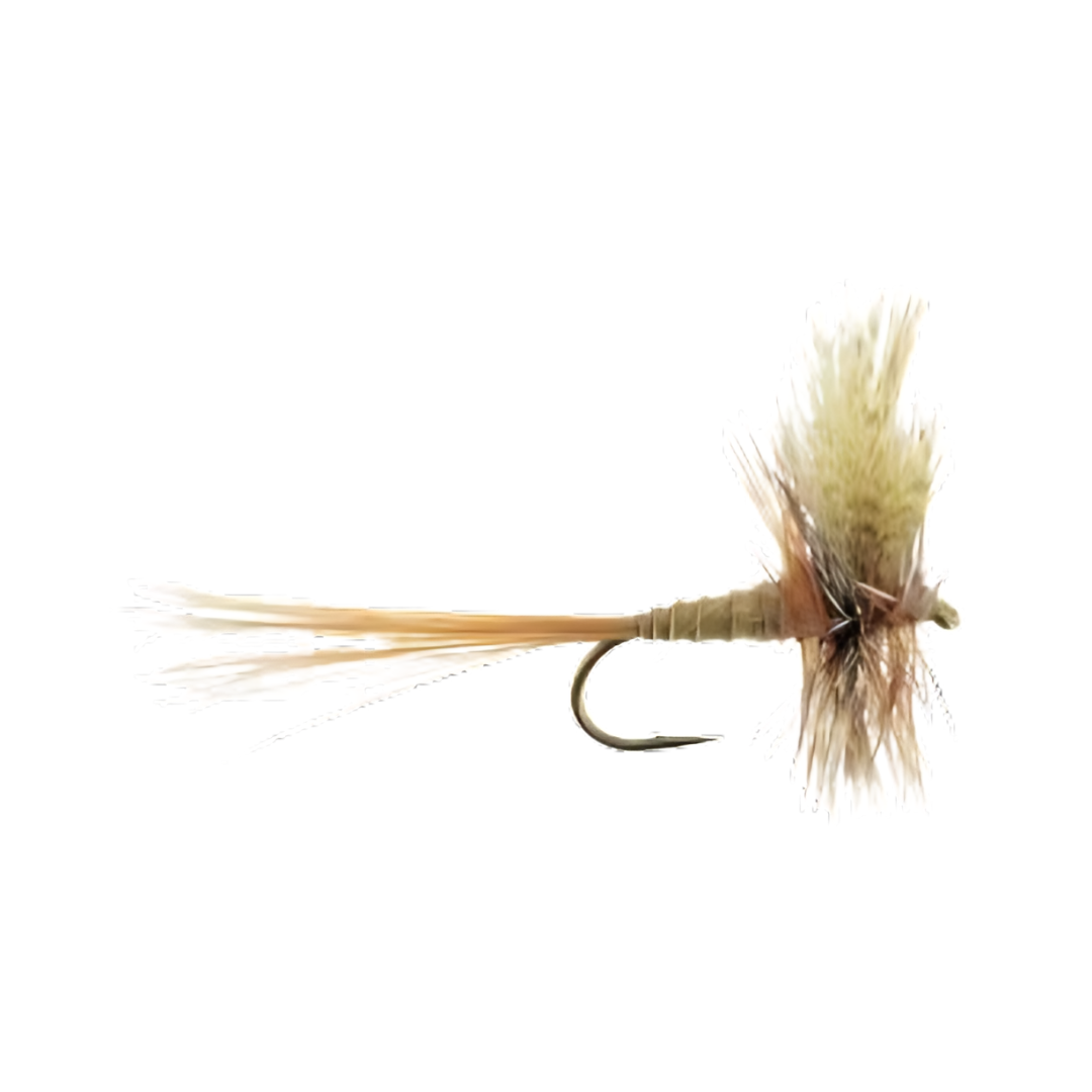 Pale Morning Dun dry fly – bulk dozen pack for PMD trout hatch fishing