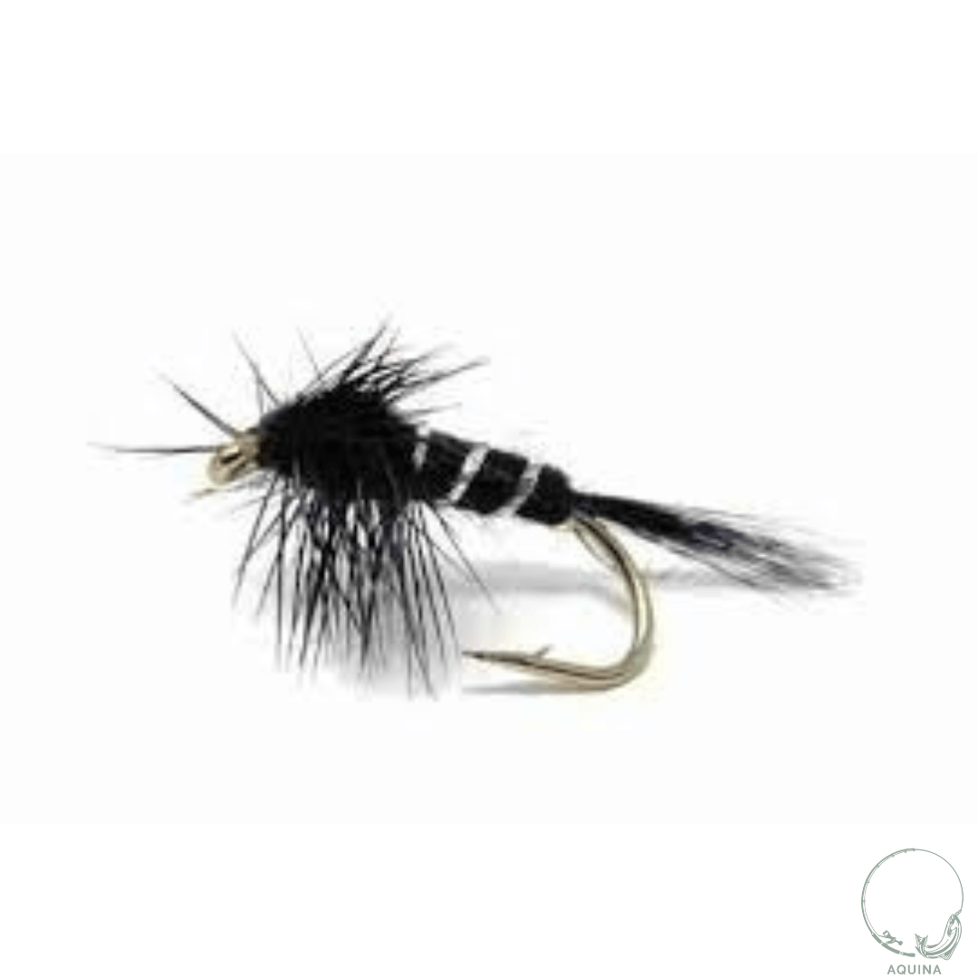BLACK MAYFLY NYMPH