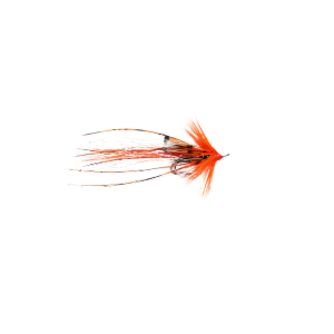 ALLYS SHRIMP
