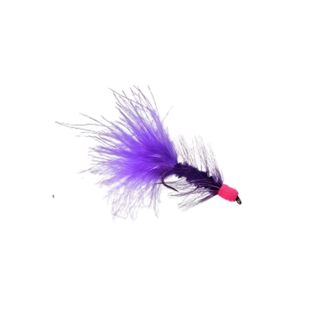 SUCKING LEECH PURPLE PINK HEAD