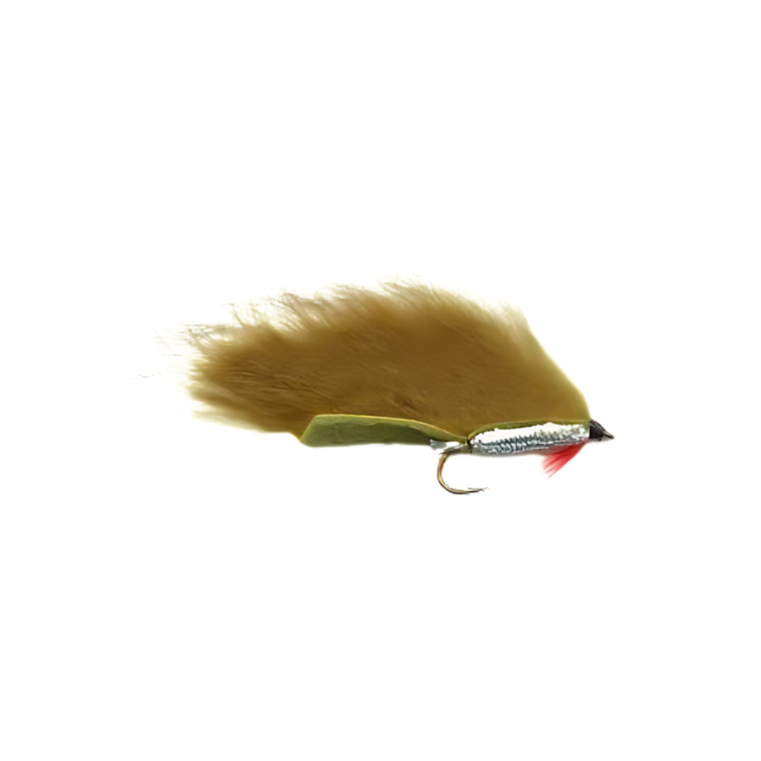 ZONKER OLIVE