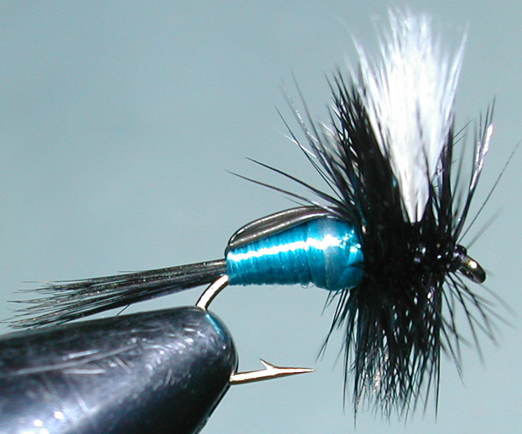 Blowfly Pattern Fly for Trout Fishing in New Zealand - Essential for Freshwater Angling