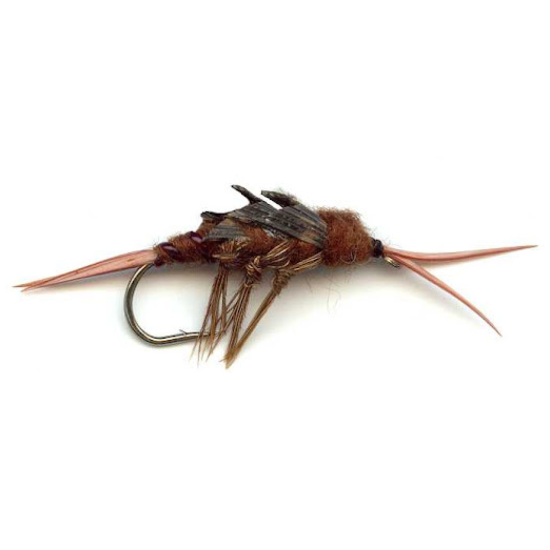 Brown Stone Fly FOR TROUT FISHING