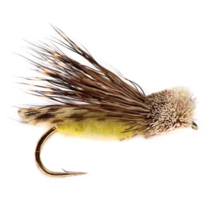 An image of Letort Hopper one of the Best Terrestrial fly patterns