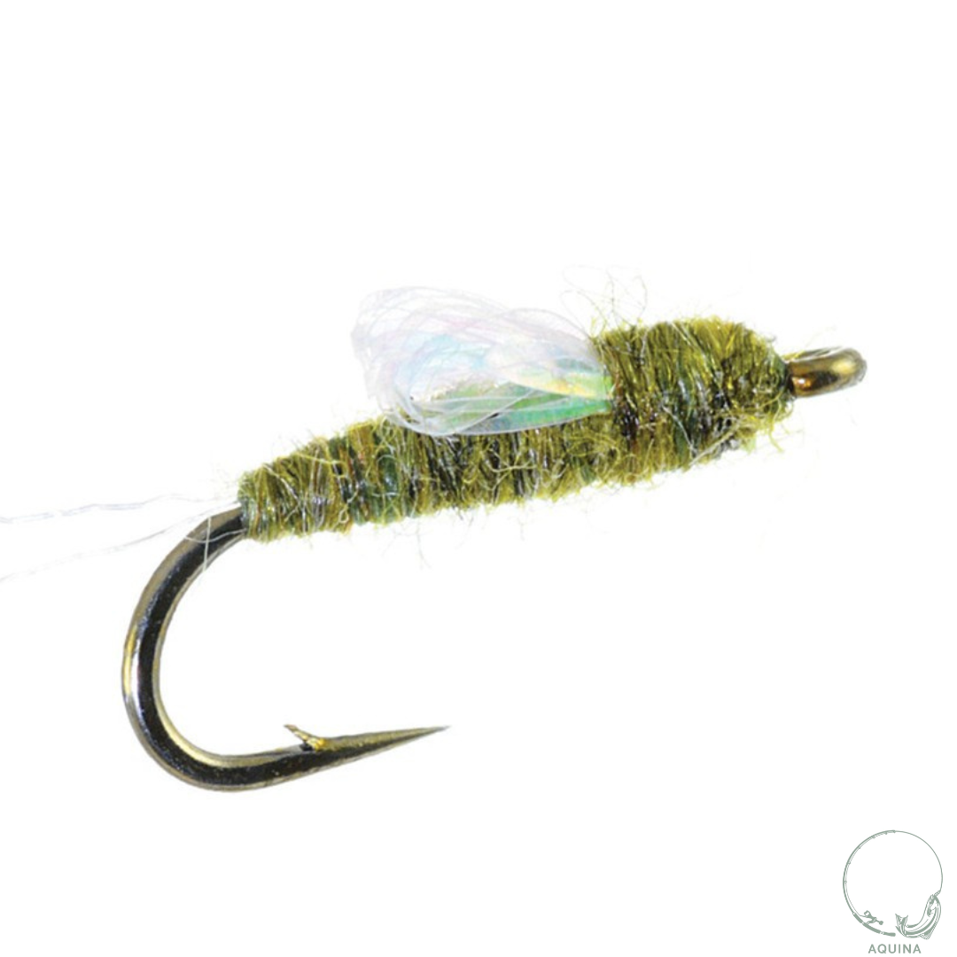 Hand-Tied Sparkle Wing RS2 olive color Nymph Fly – Aquinaflies