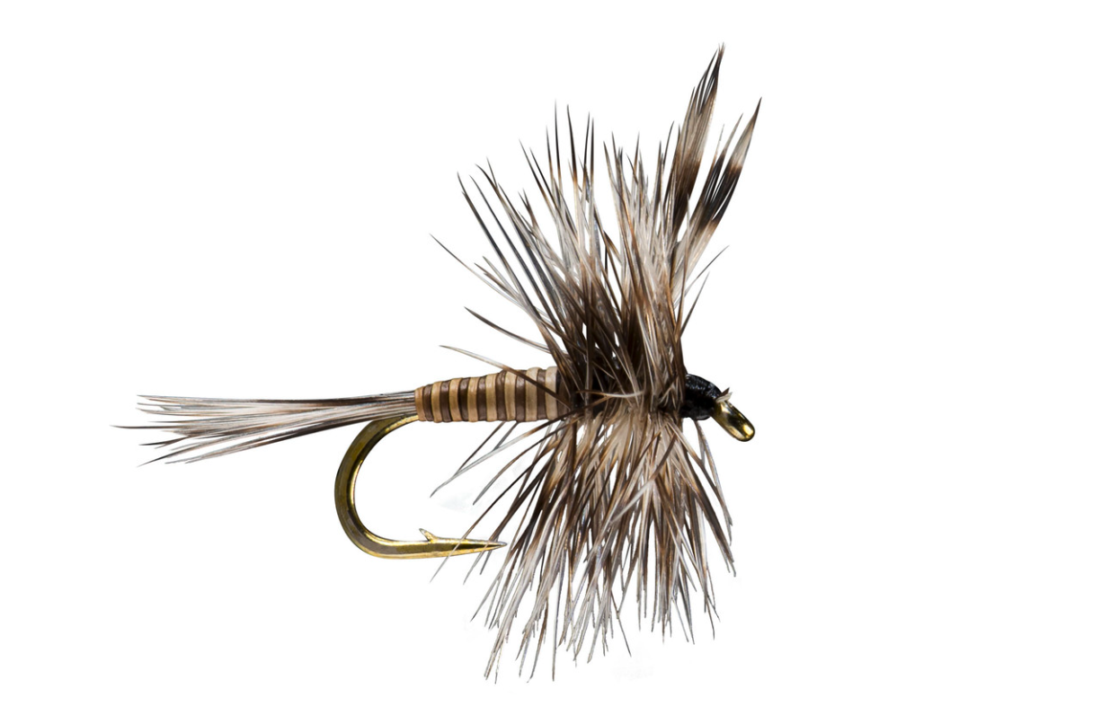 CDC Mayfly Emerger Fly – #14 sizes, ideal for trout fishing.