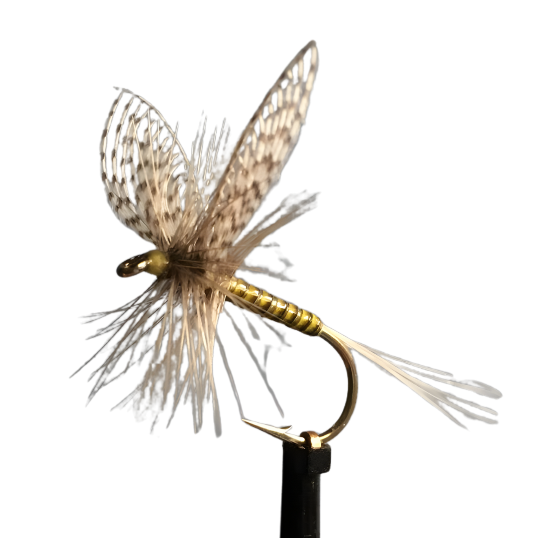 CDC Mayfly Emerger Fly – #14 sizes, ideal for trout fishing.