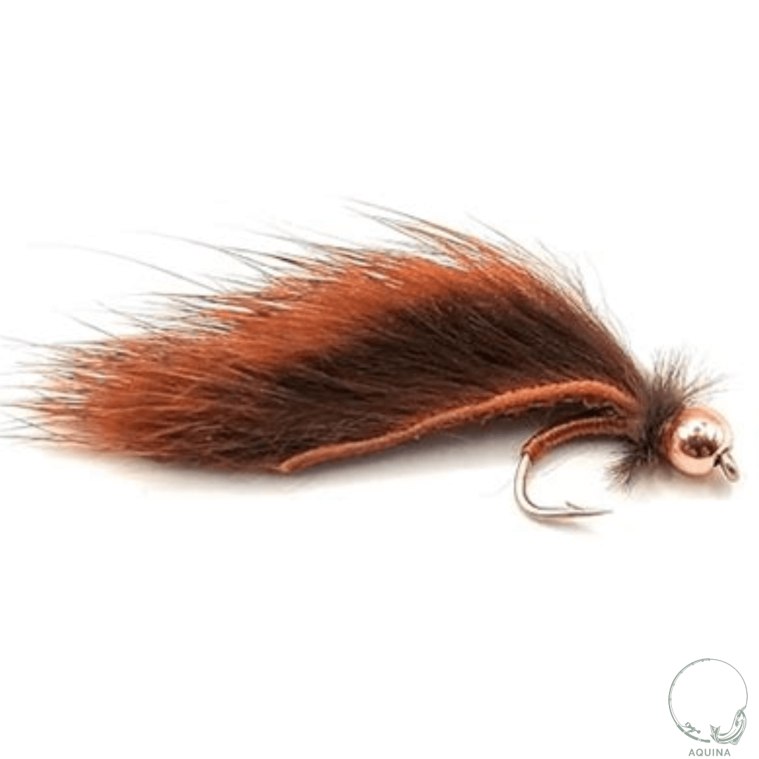 PINE SQUIRREL LEECH
