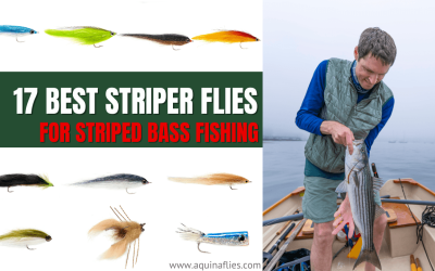 17 Best Striper Flies for Striped Bass Fishing (Proven to Catch Fish)
