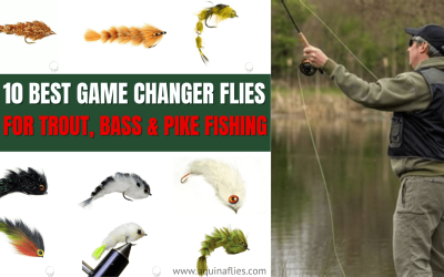 10 Best Game Changer Flies for Trout, Bass & Pike: A Guide to Fishing Game Changer Flies